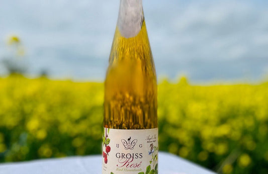 ROSÉ IS NOT JUST FOR THE SUMMER: THE BEST WINTER ROSÉ