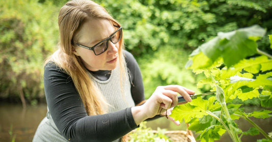 In a nutshell, Forager Amy Rankine: ‘I eat seasonal wild foods when I am at home, but I can’t stand onions’