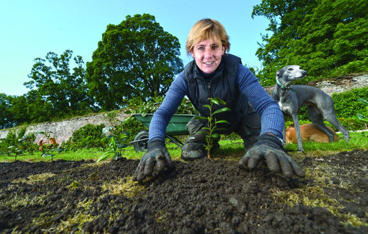 PRODUCER’S CORNER: CATHERINE DRUMMOND-HERDMAN OF TEA GARDENS SCOTLAND