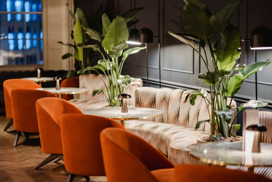 Review: Liberté Brasserie, Edinburgh