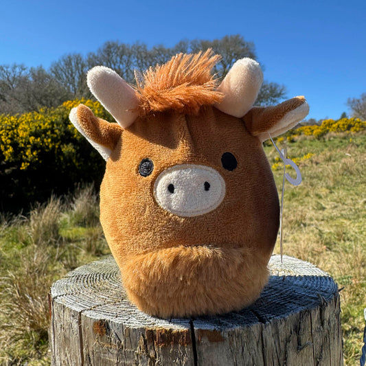 McSquashies - Morag Moo