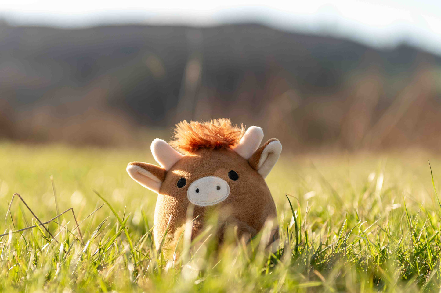 McSquashies - Morag Moo