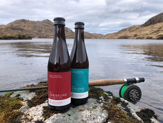 Producer’s Corner: Jack MacDonald, Left Field Kombucha
