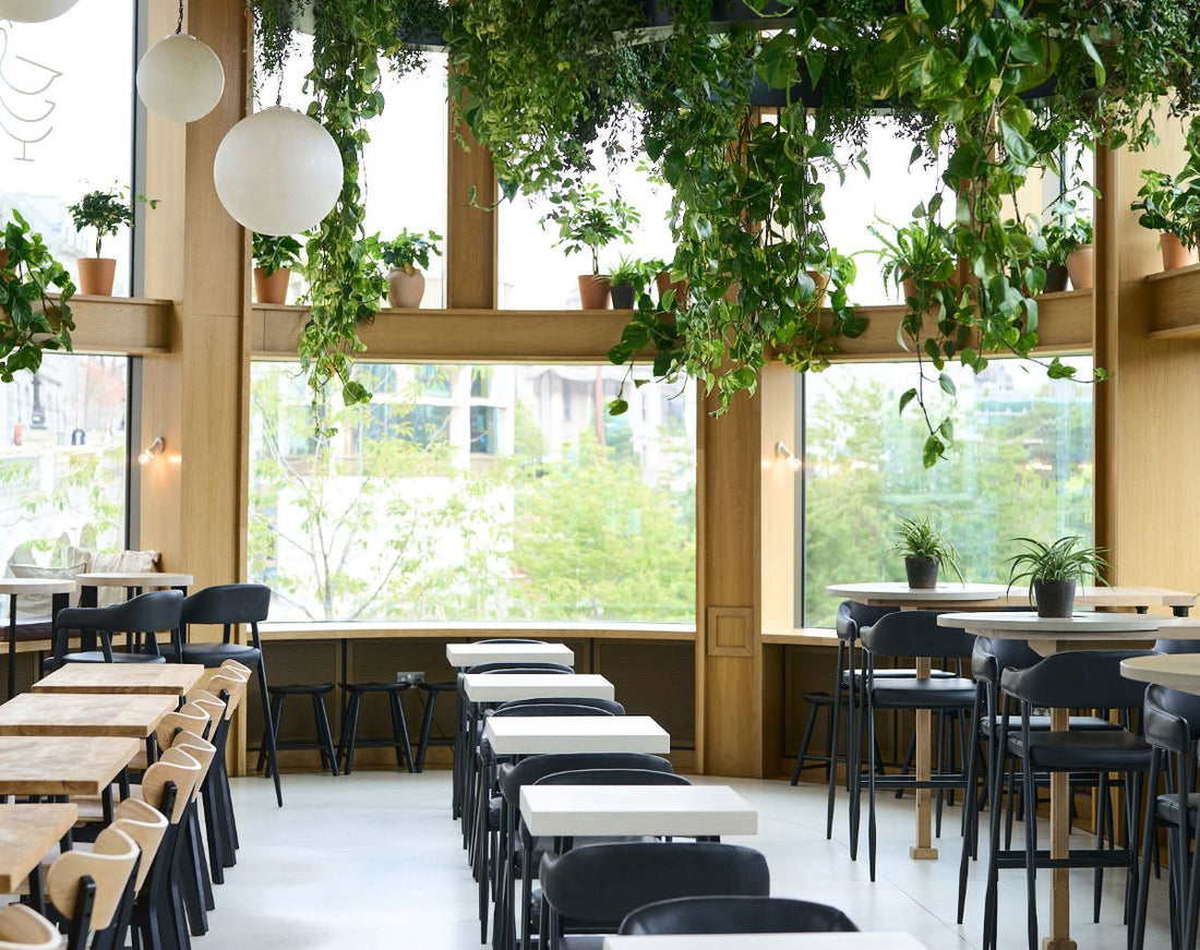 Review: Wild Goose, Aberdeen