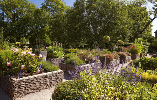 PALACE OF HOLYROODHOUSE LAUNCHES FIRST GIN INFUSED WITH HERBS FROM HISTORICAL GARDEN