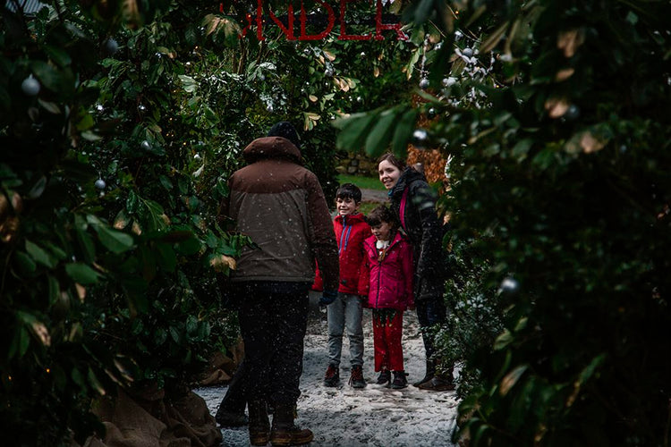 Jupiter Artland launches a special Winter Series of events Scottish