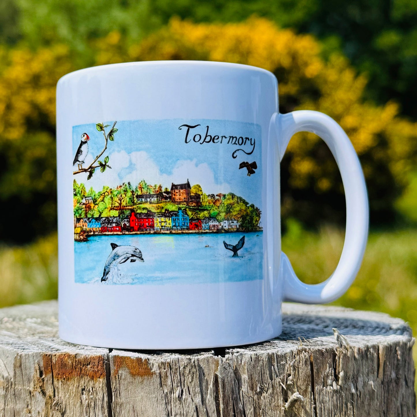 Special Offer! Tobermory Mug, Coffee & Biscuits!